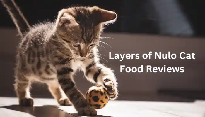 Nulo Cat Food Reviews