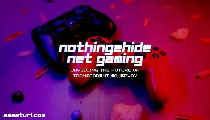 Nothing2Hide Net Gaming