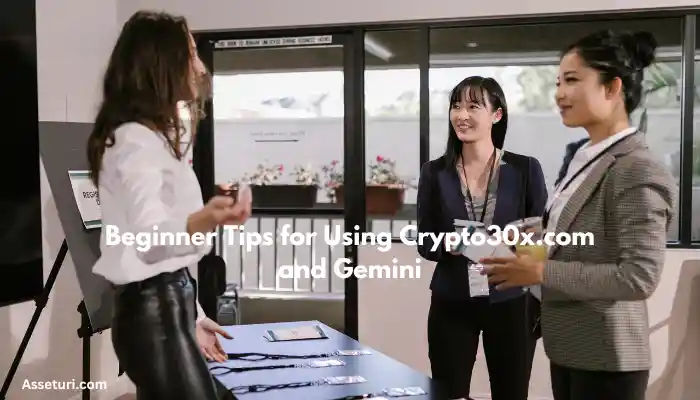 Crypto30x.com Gemini 