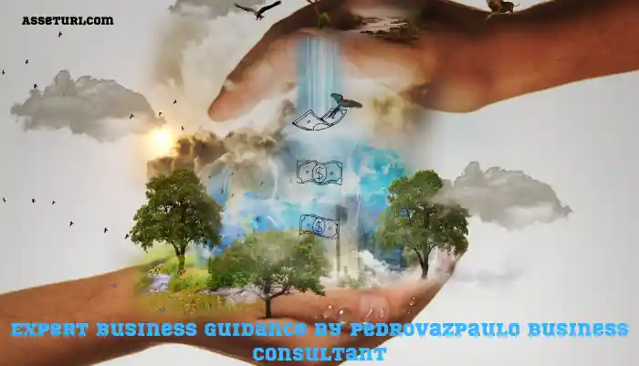 Pedrovazpaulo Business Consultant